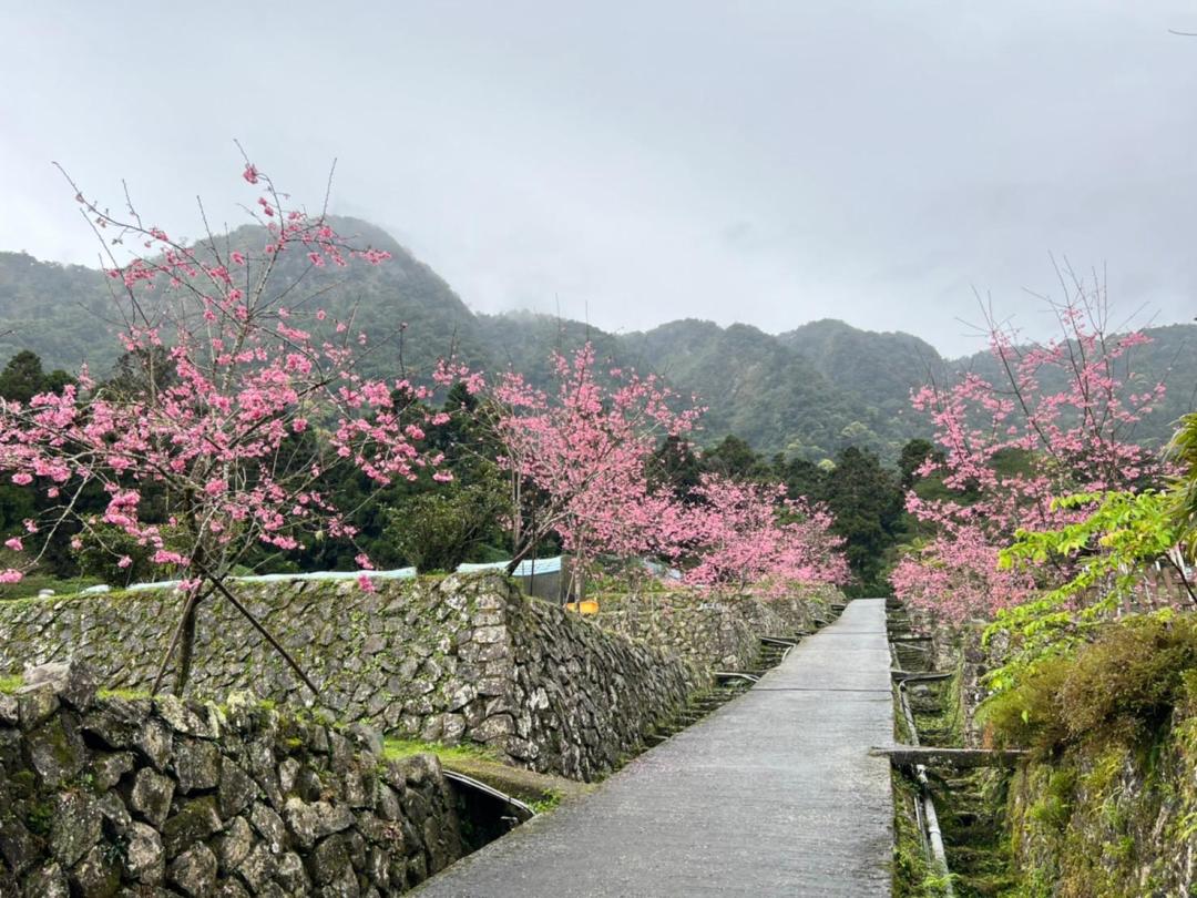 鄰近的景點