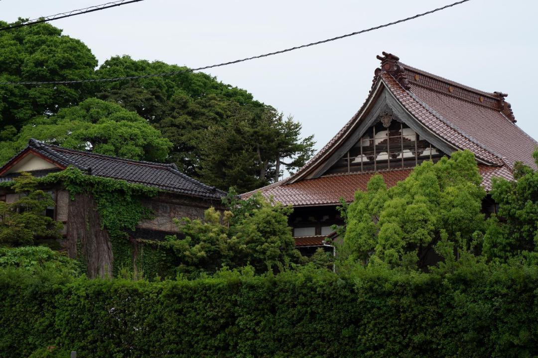 Nearby attraction