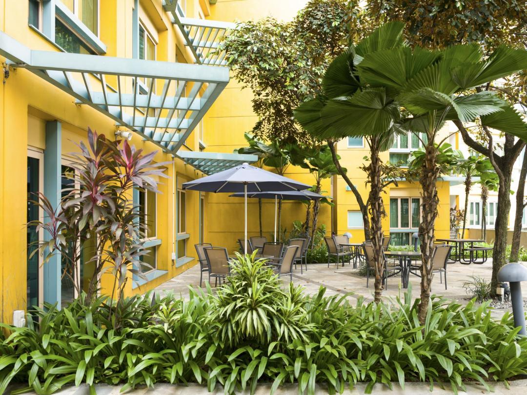 Garden