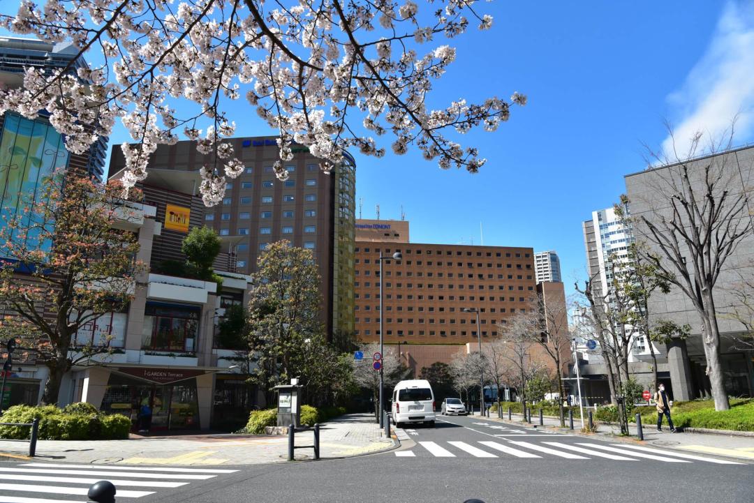 外觀