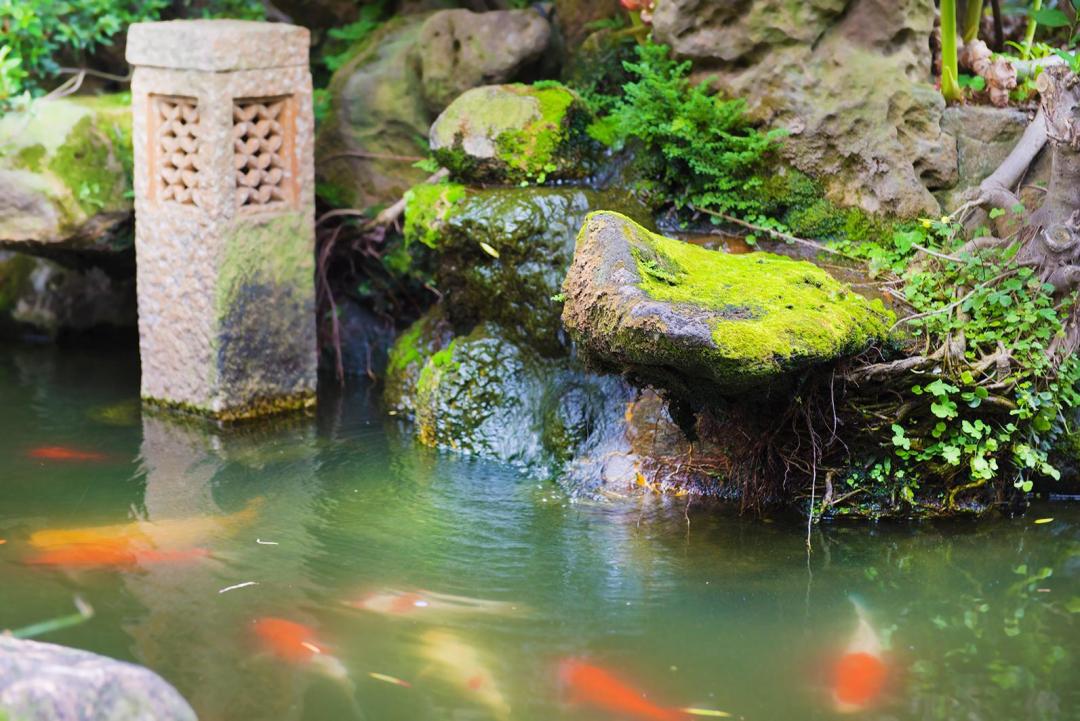 花園